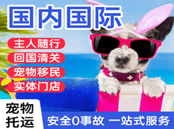 兰旗航空邮寄国际宠物托运 【国